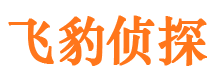 郸城侦探